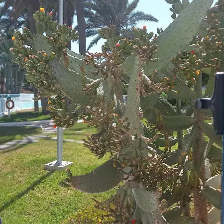 Barqueros 9 By Holidays Fuerteventura Appartamento